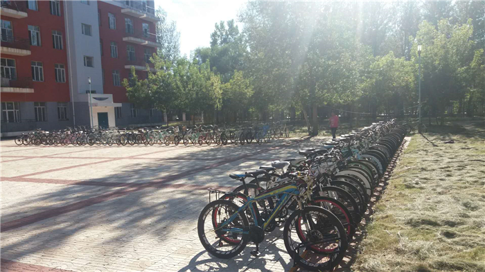统一规划后摆放规整的自行车.jpg